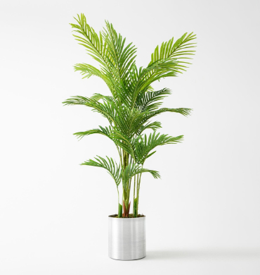 Dekoratif Koku Makinesi