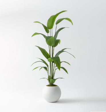 Showroom & Ofis Uygulamaları