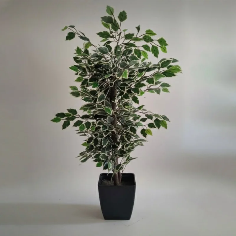 Yapay Alacalı Benjamin Ağacı